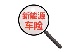 有錢能(néng)使鬼推磨？新能(néng)源車買保險不一(yī)定